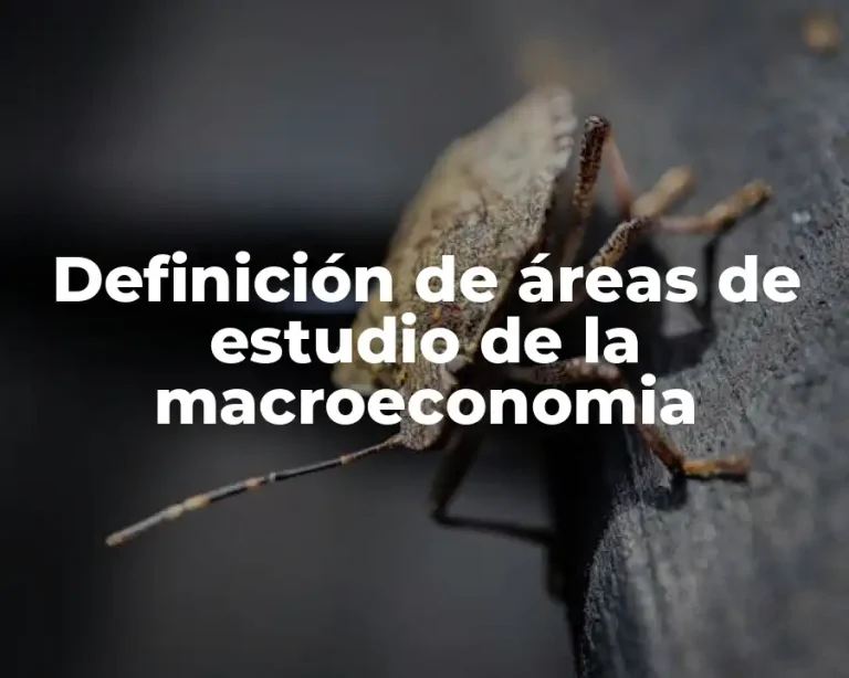 Definición de áreas de estudio de la macroeconomia