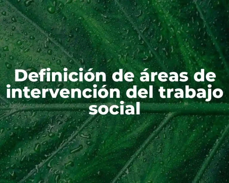 Definición de áreas de intervención del trabajo social