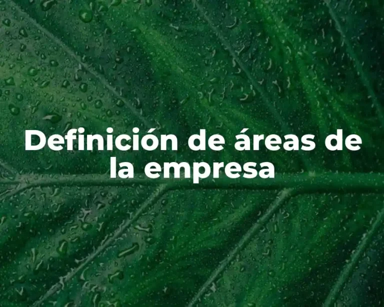 Definición de áreas de la empresa