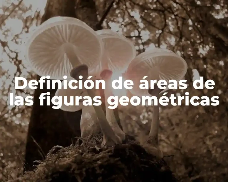 Definición de áreas de las figuras geométricas