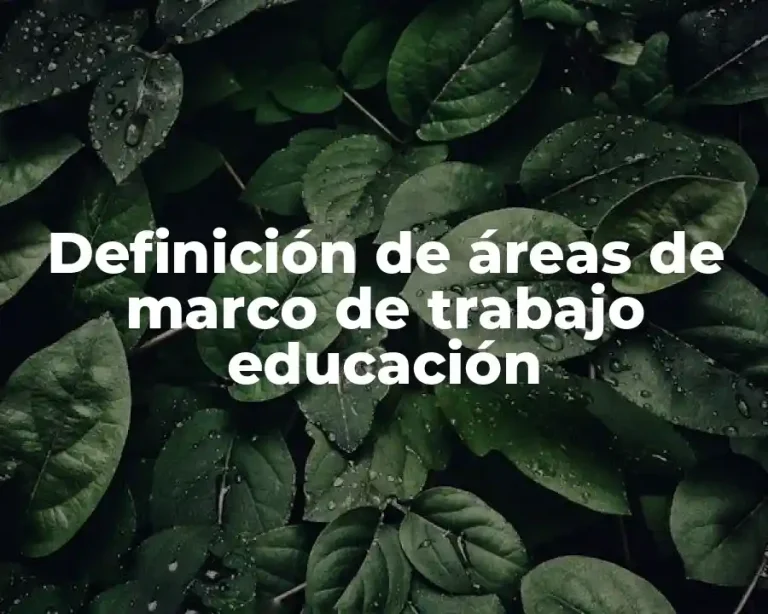 Definición de áreas de marco de trabajo educación