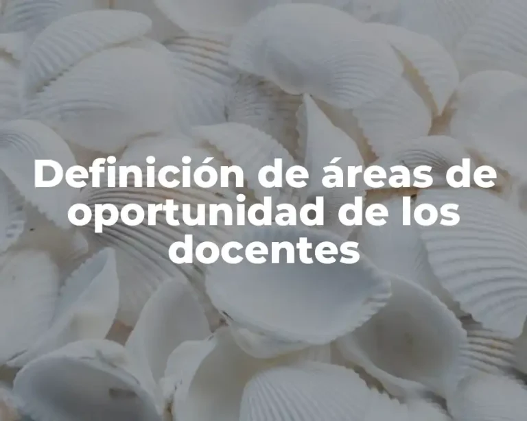 Definición de áreas de oportunidad de los docentes