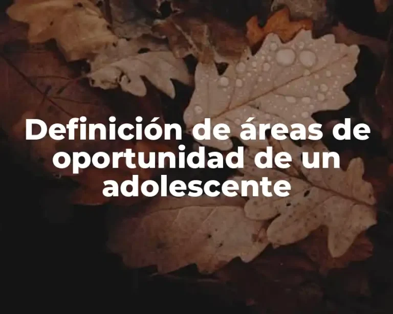Definición de áreas de oportunidad de un adolescente