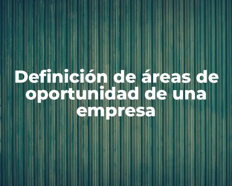 Definición de áreas de oportunidad de una empresa