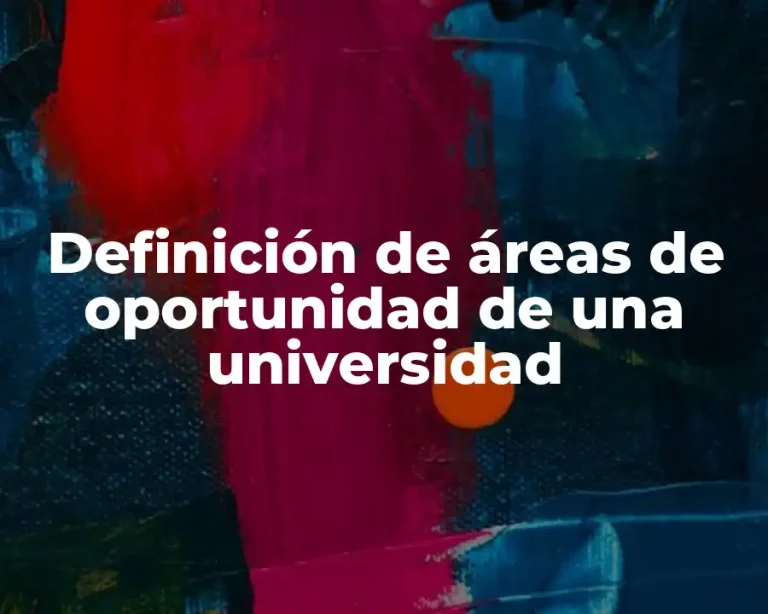 Definición de áreas de oportunidad de una universidad