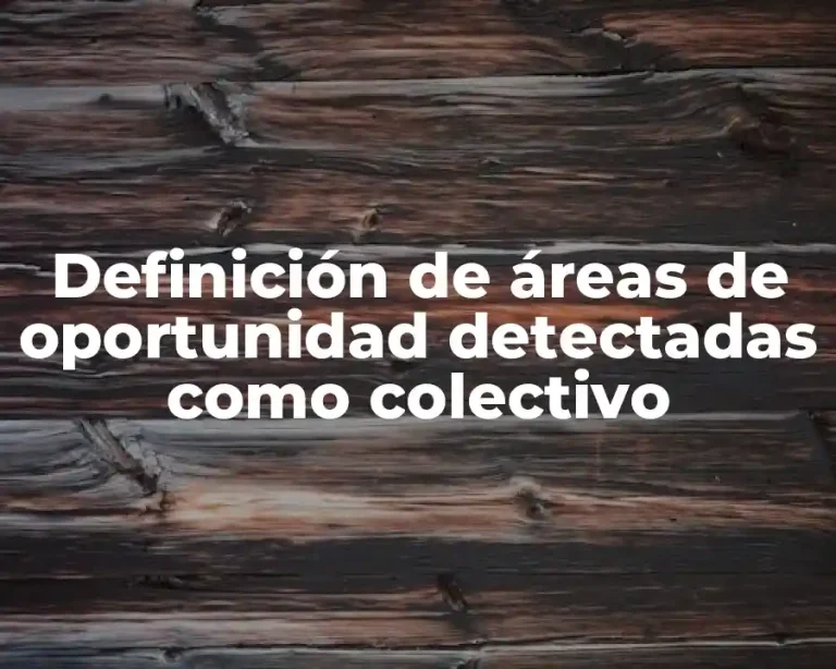 Definición de áreas de oportunidad detectadas como colectivo