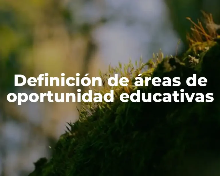 Definición de áreas de oportunidad educativas