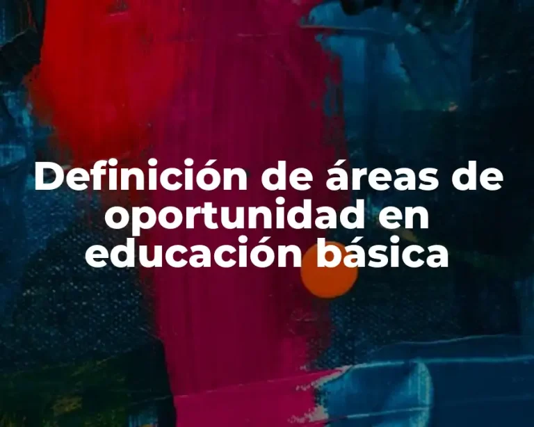 Definición de áreas de oportunidad en educación básica