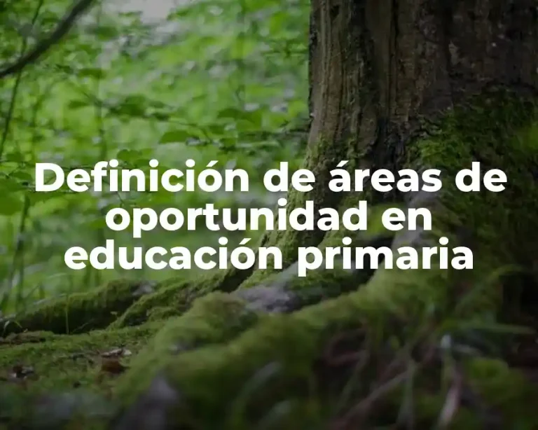 Definición de áreas de oportunidad en educación primaria