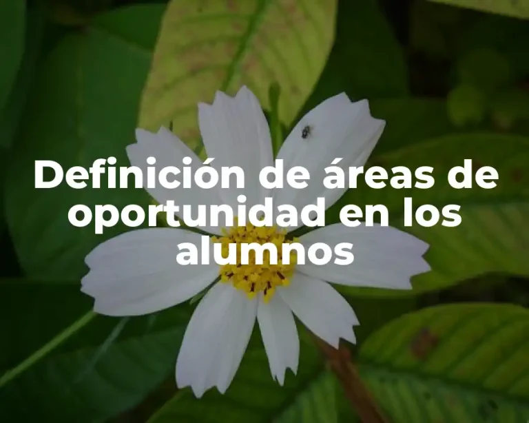 Definición de áreas de oportunidad en los alumnos