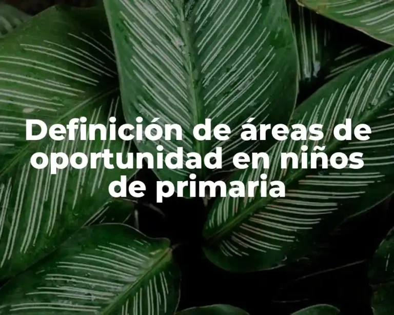 Definición de áreas de oportunidad en niños de primaria
