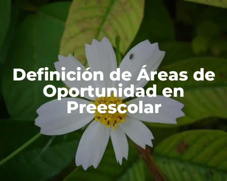 Definición de Áreas de Oportunidad en Preescolar