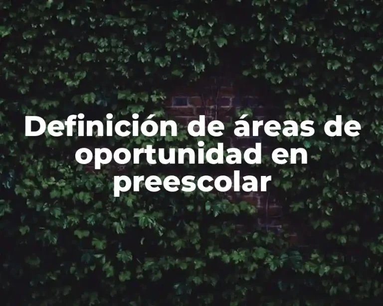 Definición de áreas de oportunidad en preescolar