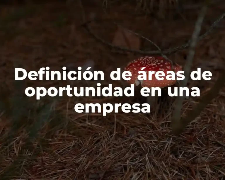 Definición de áreas de oportunidad en una empresa