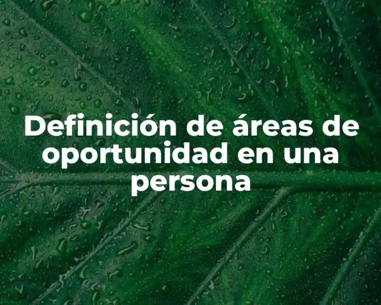 Definición de áreas de oportunidad en una persona