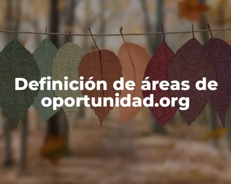 Definición de áreas de oportunidad.org