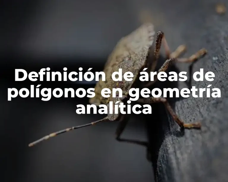 Definición de áreas de polígonos en geometría analítica