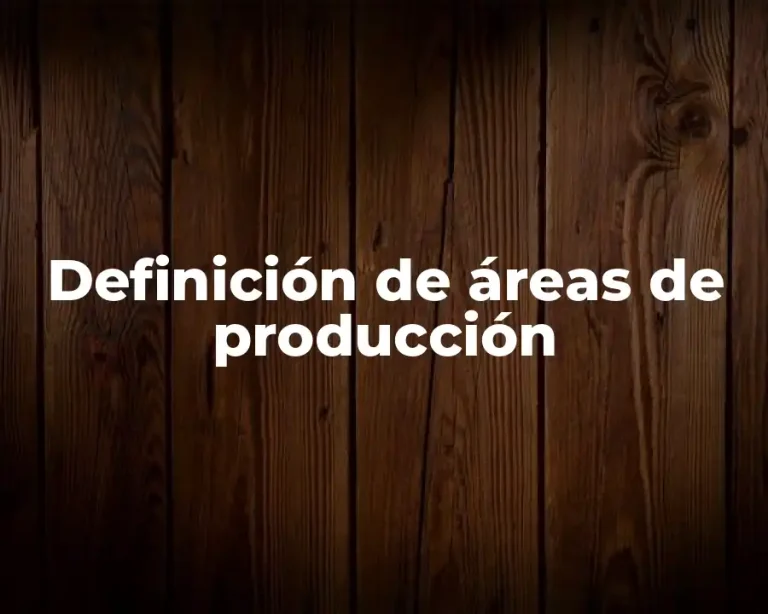 Definición de áreas de producción