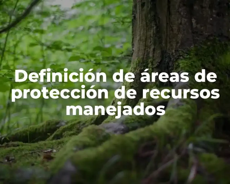 Definición de áreas de protección de recursos manejados
