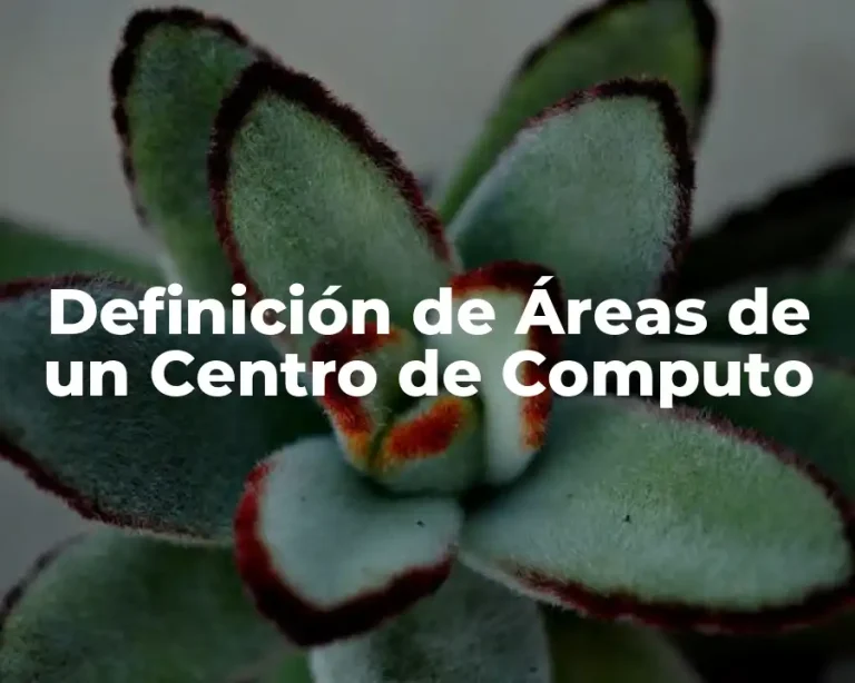 Definición de Áreas de un Centro de Computo