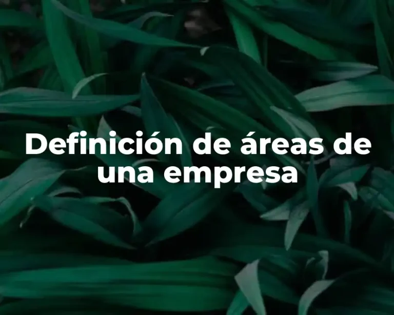 Definición de áreas de una empresa