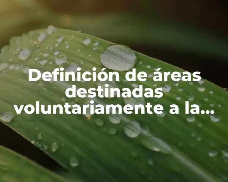 Definición de áreas destinadas voluntariamente a la conservación en México