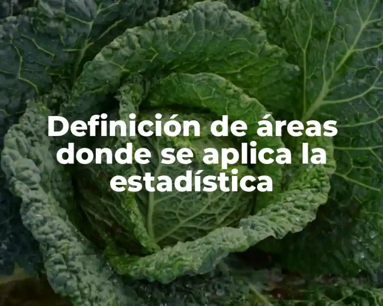 Definición de áreas donde se aplica la estadística