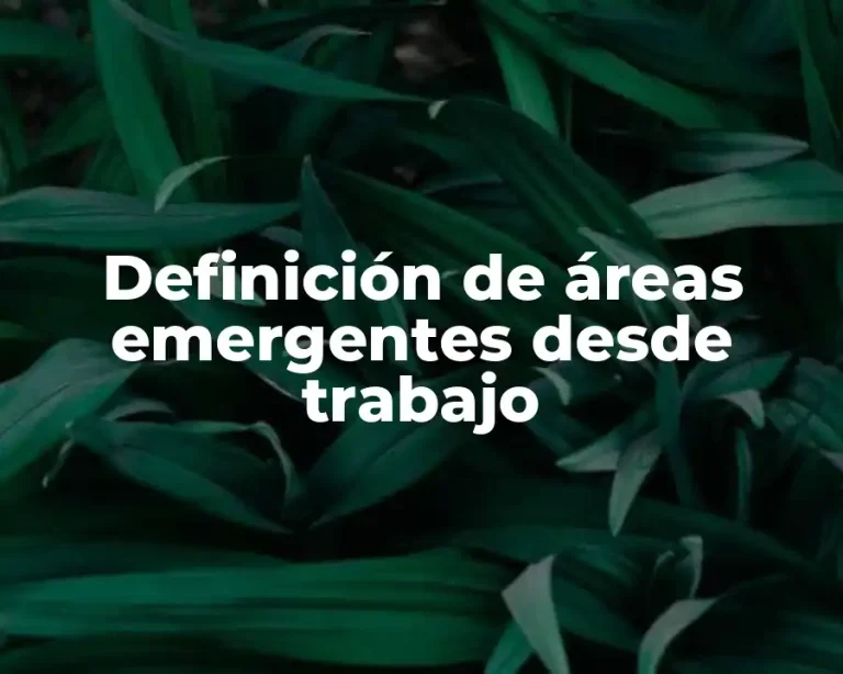Definición de áreas emergentes desde trabajo