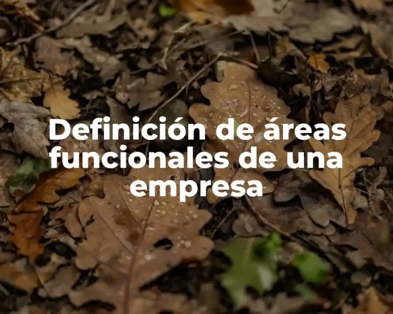 Definición de áreas funcionales de una empresa