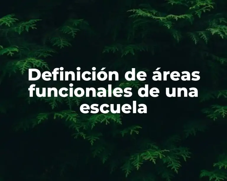 Definición de áreas funcionales de una escuela