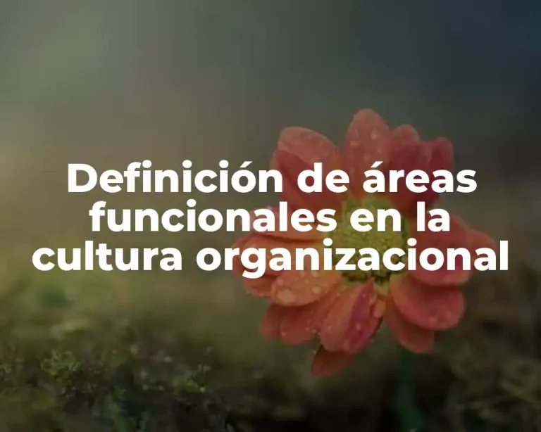 Definición de áreas funcionales en la cultura organizacional