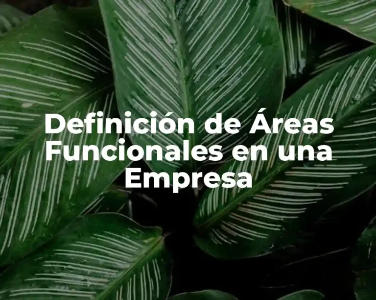Definición de Áreas Funcionales en una Empresa