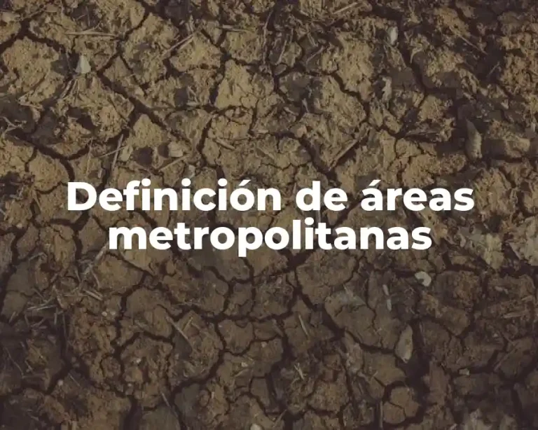 Definición de áreas metropolitanas