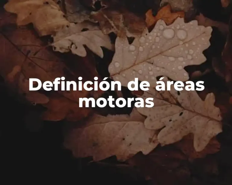 Definición de áreas motoras
