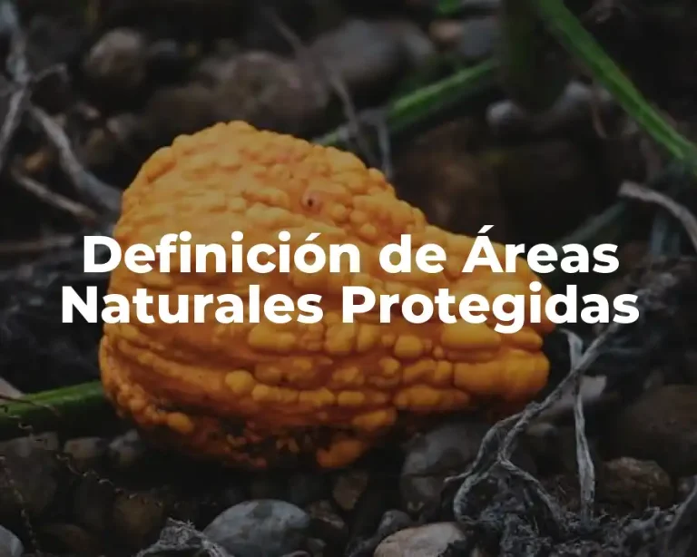 Definición de Áreas Naturales Protegidas