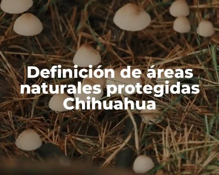 Definición de áreas naturales protegidas Chihuahua