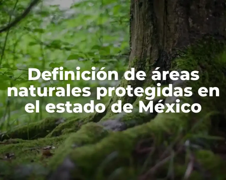 Definición de áreas naturales protegidas en el estado de México