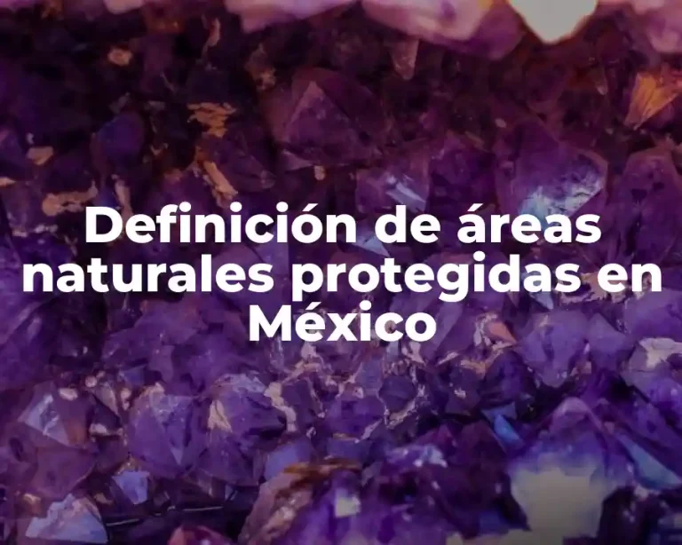 Definición de áreas naturales protegidas en México