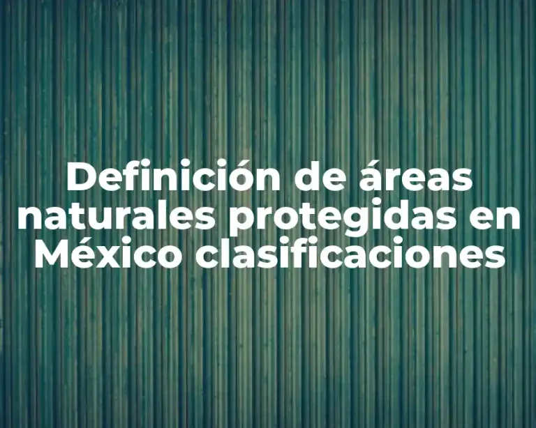 Definición de áreas naturales protegidas en México clasificaciones