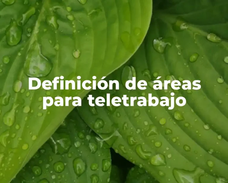 Definición de áreas para teletrabajo