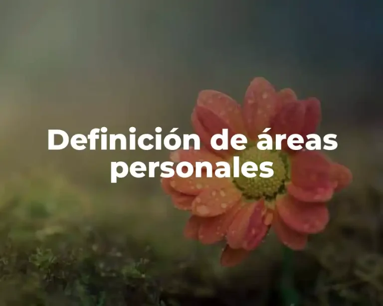 Definición de áreas personales
