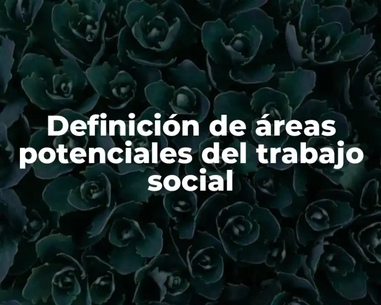 Definición de áreas potenciales del trabajo social