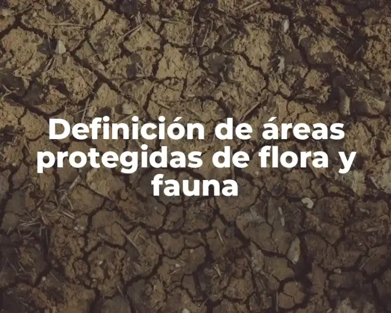 Definición de áreas protegidas de flora y fauna