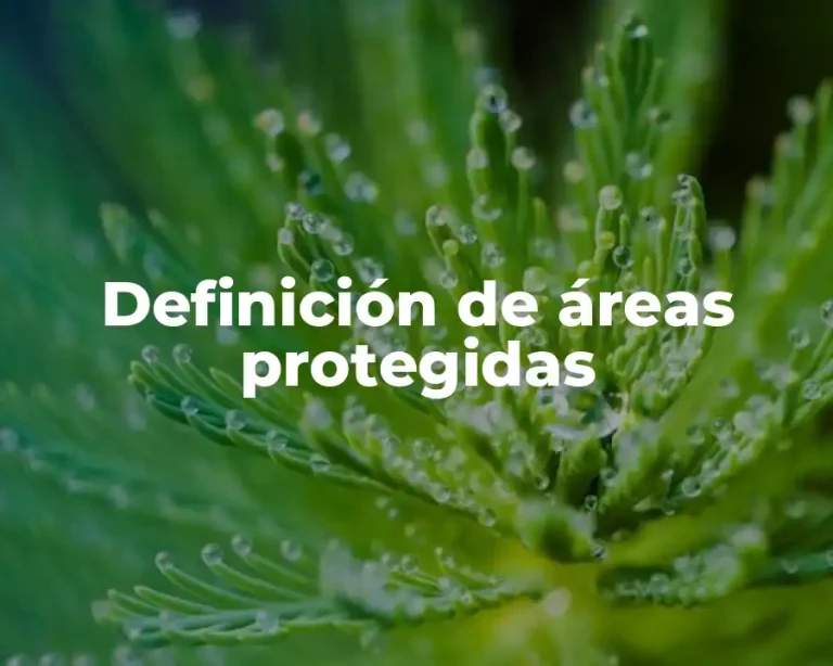 Definición de áreas protegidas