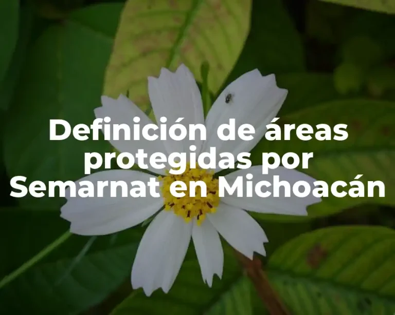 Definición de áreas protegidas por Semarnat en Michoacán