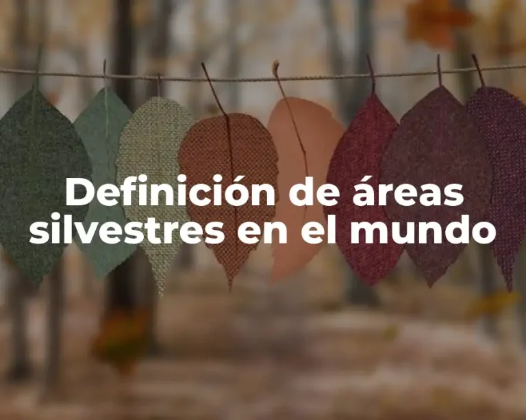 Definición de áreas silvestres en el mundo