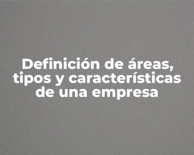 Definición de áreas, tipos y características de una empresa