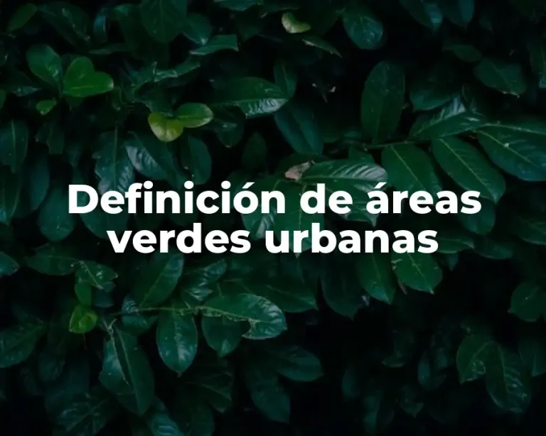 Definición de áreas verdes urbanas