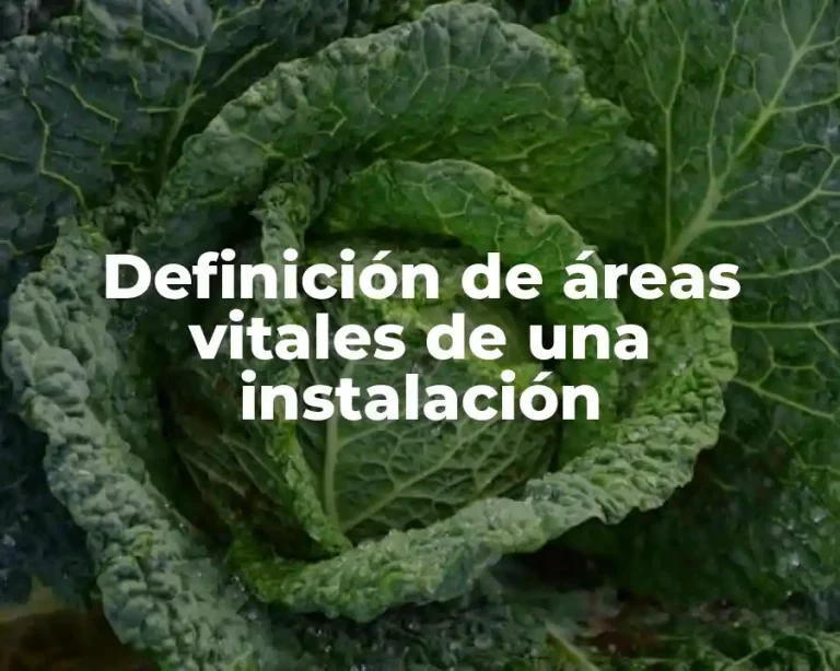 Definición de áreas vitales de una instalación