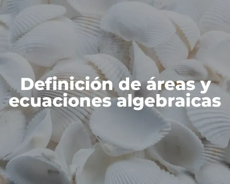Definición de áreas y ecuaciones algebraicas